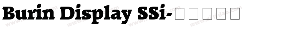 Burin Display SSi字体转换